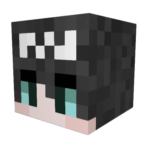 Nuk0000 Minecraft avatar head, 3D render