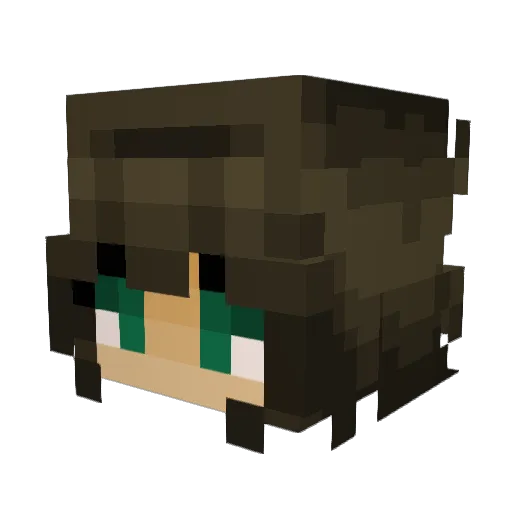 NukePooPoo Minecraft avatar head, 3D render