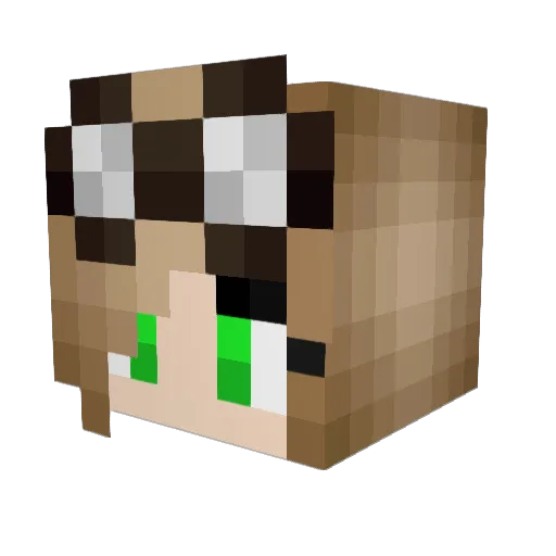 Nuketard Minecraft avatar head, 3D render