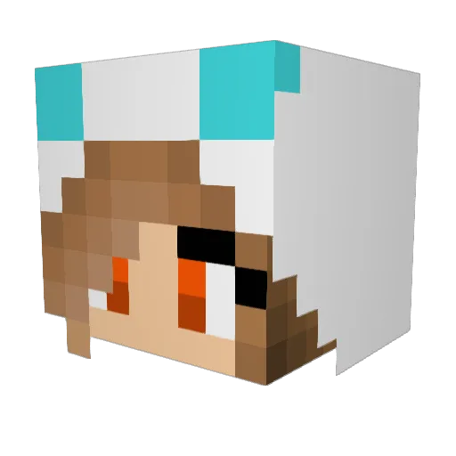 NukingIsNotnice Minecraft avatar head, 3D render
