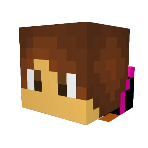 NukingYourBase Minecraft avatar head, 3D render