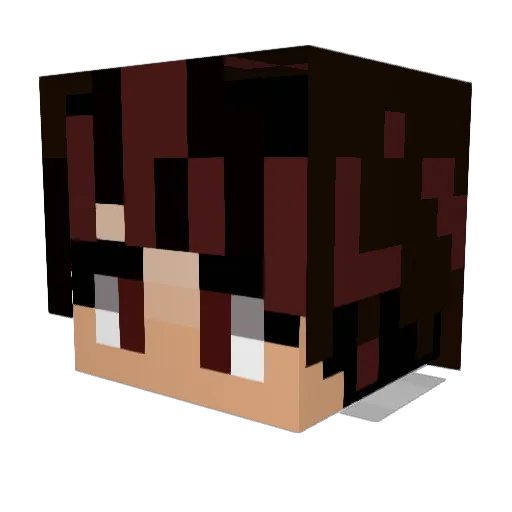 Nuklz19 Minecraft avatar head, 3D render