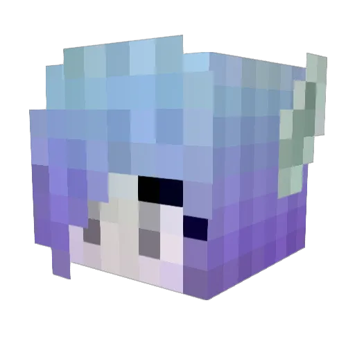 Nukumin Minecraft avatar head, 3D render
