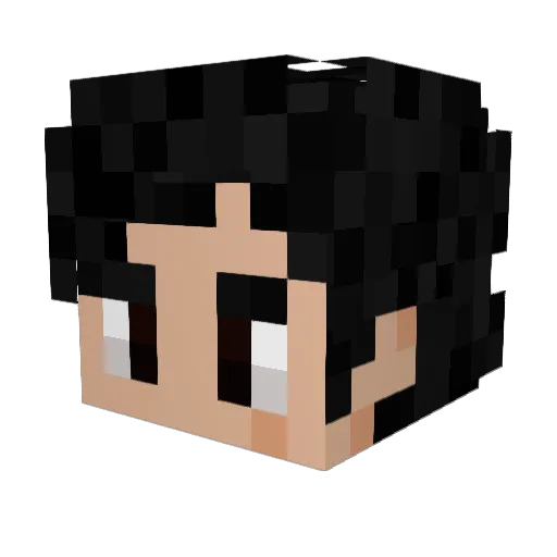 Nul__ Minecraft avatar head, 3D render