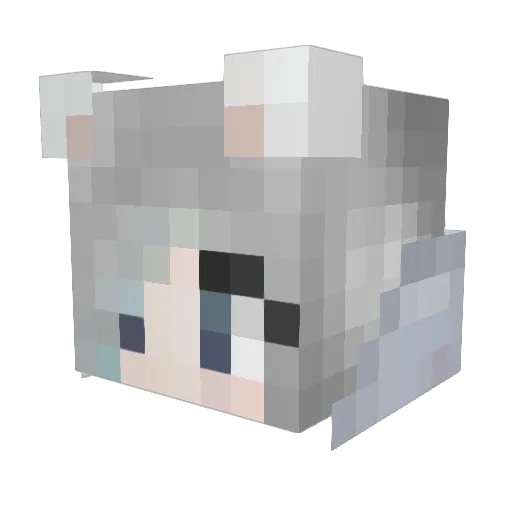 Nulgath857 Minecraft avatar head, 3D render