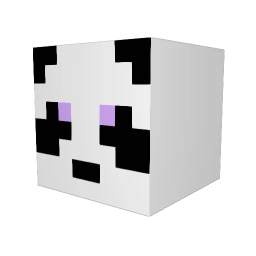 Nuliah Minecraft avatar head, 3D render