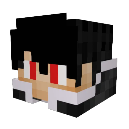 Null842 Minecraft avatar head, 3D render