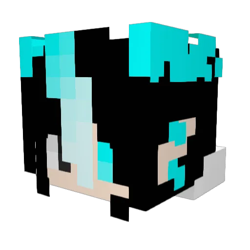 NullAquarius Minecraft avatar head, 3D render