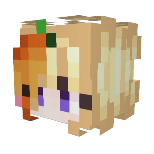 NullLikesNectar Minecraft avatar head, 3D render