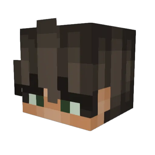 NullNiche Minecraft avatar head, 3D render