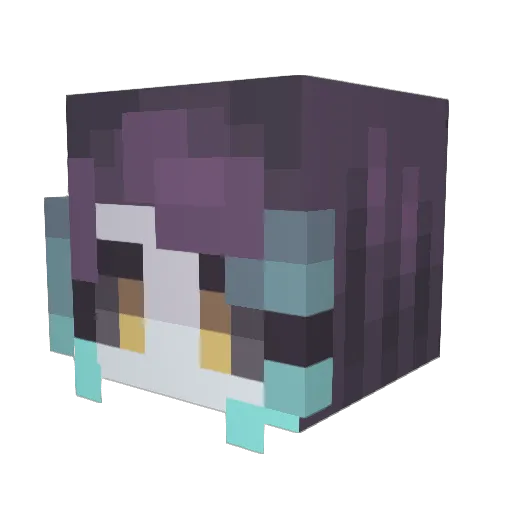 NullNovaVT Minecraft avatar head, 3D render