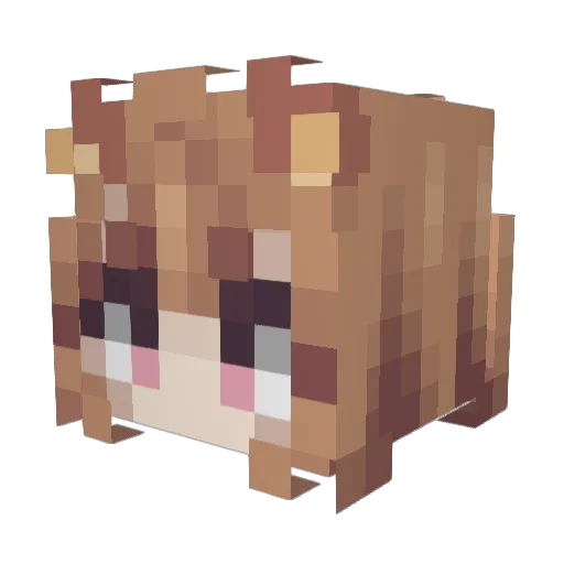 NullPower Minecraft avatar head, 3D render