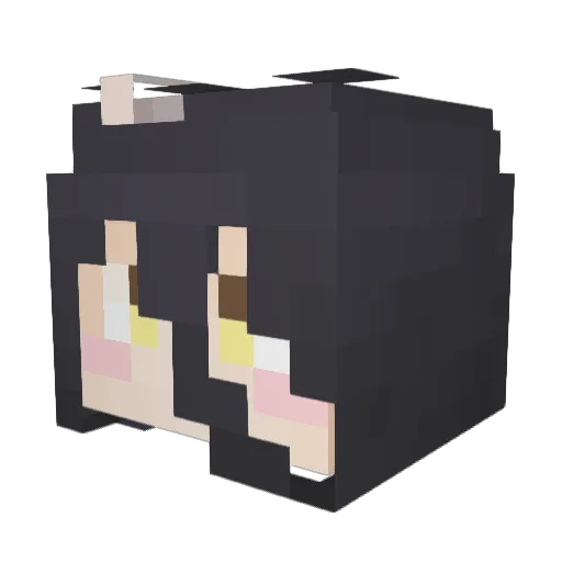 NullThing Minecraft avatar head, 3D render