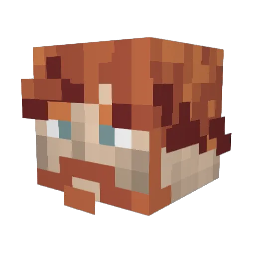 Null_CasinuBot Minecraft avatar head, 3D render