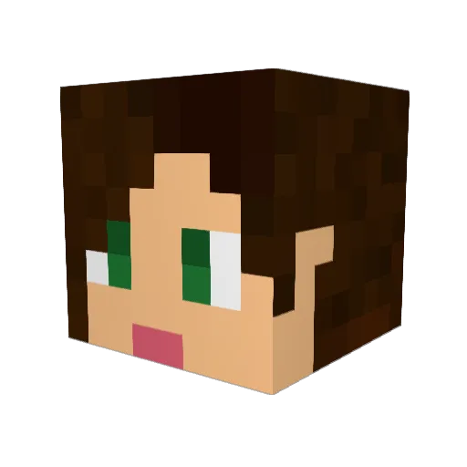 Null_Q09z5fxa7Oa Minecraft avatar head, 3D render