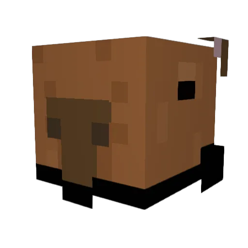 Null_Starr Minecraft avatar head, 3D render