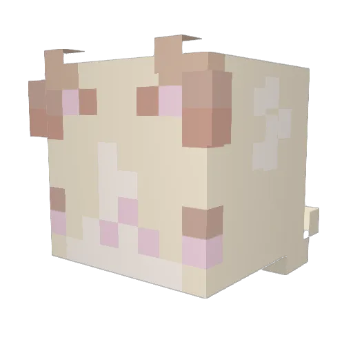 Nulle_N Minecraft avatar head, 3D render