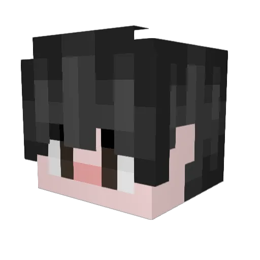 NulledRequest Minecraft avatar head, 3D render