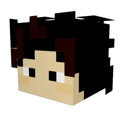 Nullixty Minecraft avatar head, 3D render