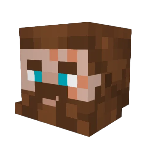 Nullizzz Minecraft avatar head, 3D render