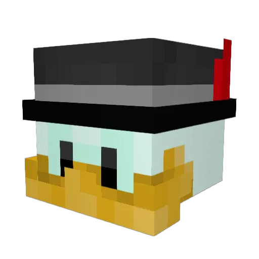 Nultake Minecraft avatar head, 3D render