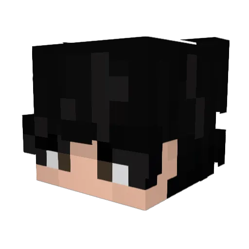 NumNum6348 Minecraft avatar head, 3D render