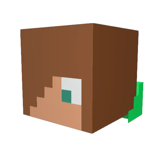 Numark571 Minecraft avatar head, 3D render