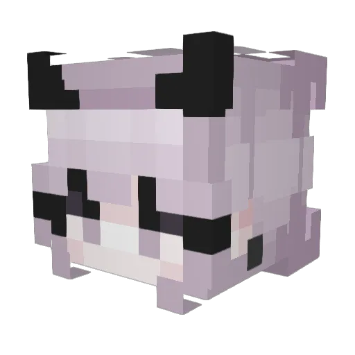 NumbZsz Minecraft avatar head, 3D render