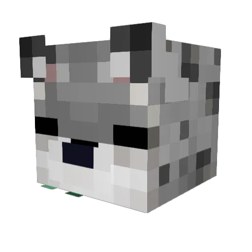 Numb_Soup Minecraft avatar head, 3D render