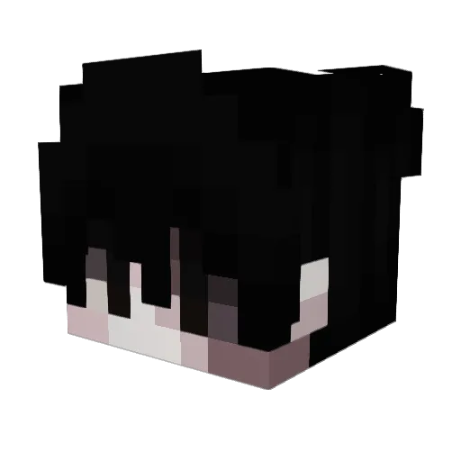 Numbalin Minecraft avatar head, 3D render
