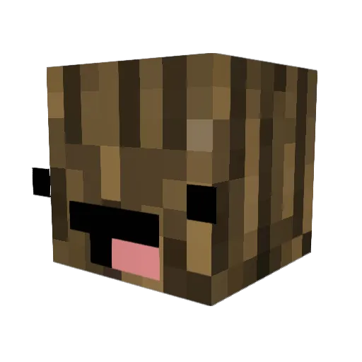 Number1Young Minecraft avatar head, 3D render