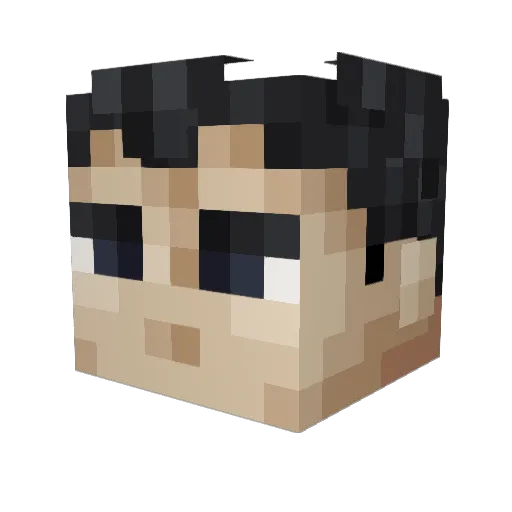 Numbersarestupid Minecraft avatar head, 3D render