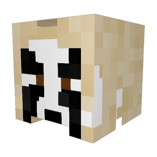Numbesa Minecraft avatar head, 3D render