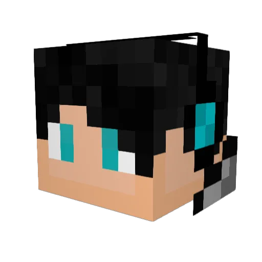 Numbonic10 Minecraft avatar head, 3D render