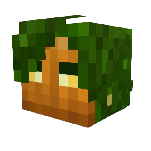 NumerousNachos Minecraft avatar head, 3D render