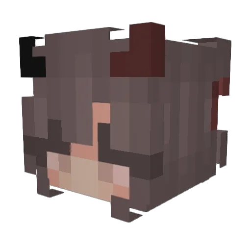 Nummyx3 Minecraft avatar head, 3D render