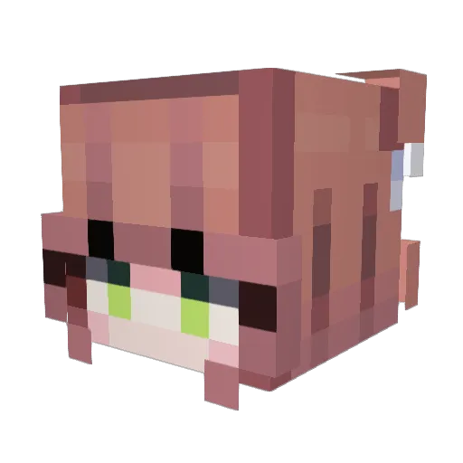 Numnum236 Minecraft avatar head, 3D render