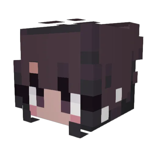 Numzie93 Minecraft avatar head, 3D render