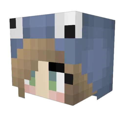 Nuna2006 Minecraft avatar head, 3D render