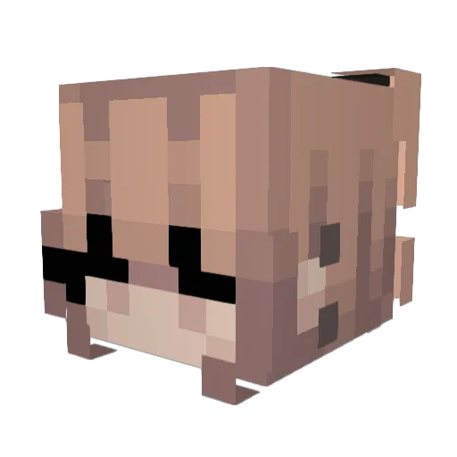 Nuniis Minecraft avatar head, 3D render