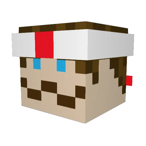NunjaMaster Minecraft avatar head, 3D render