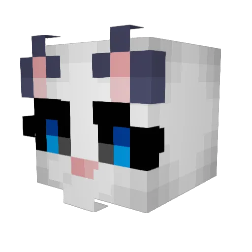 Nunoo1226 Minecraft avatar head, 3D render