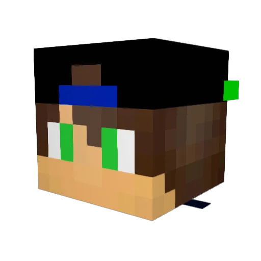 Nunoo Minecraft avatar head, 3D render
