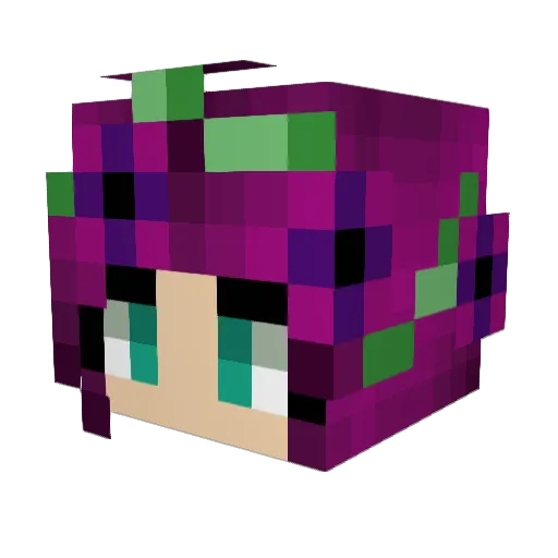 Nunskuli Minecraft avatar head, 3D render