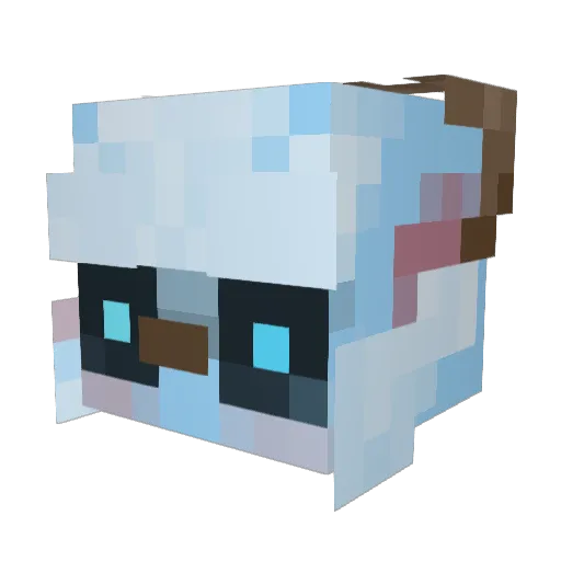 NunuMain69 Minecraft avatar head, 3D render
