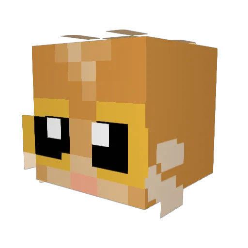 NunuNugget Minecraft avatar head, 3D render