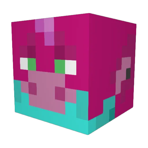 Nunu_Skye Minecraft avatar head, 3D render