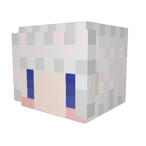 Nunupeko Minecraft avatar head, 3D render