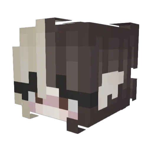 Nuny Minecraft avatar head, 3D render