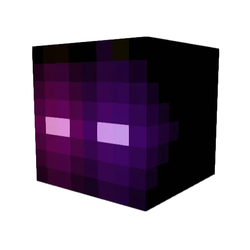 NunyaBusiness69D Minecraft avatar head, 3D render